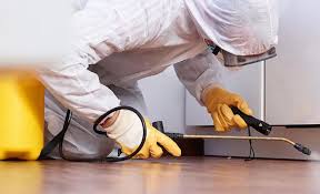 Best Pest Prevention Services  in Bonney Lake, WA